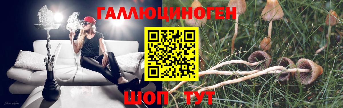 Вышний Волочёк  Псилоцибиновые грибы GOLDEN TEACHER  Псилоцибиновые грибы мухоморы  Вход с VPN 